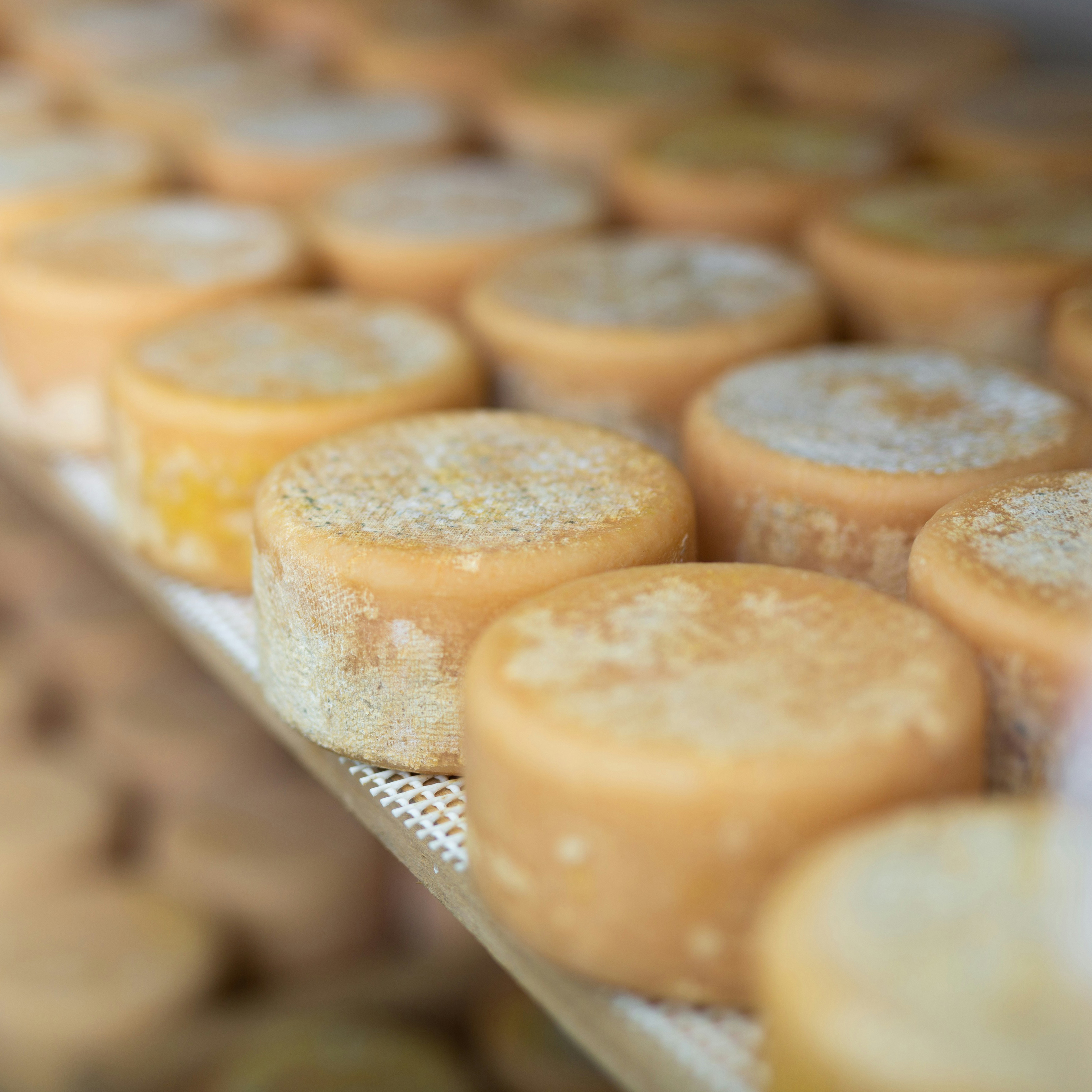 Nexori Group – Verpackungs- und Verarbeitungslösungen für die Schweizer Lebensmittelindustrie